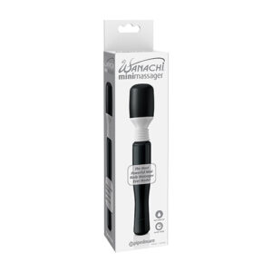 Mini Massager Black